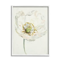 Stupell Industries finom szépségű fehér virággrafikus művészet fehér keretes művészeti nyomtatási fal művészete, Patricia