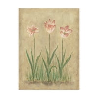 Védjegy képzőművészet 'rózsaszín virágzik a pergamenen' vászon művészet Debra Lake