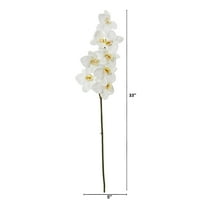 Szinte természetes 33in. Falaenopsis orchidea mesterséges virág