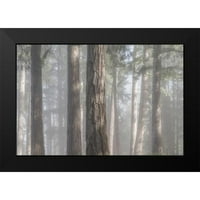 Mahan, Kathy Fekete Modern keretes Múzeum Művészeti nyomtatás címmel-köd az erdőben I