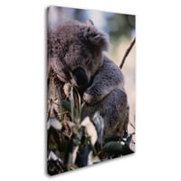 Képzőművészet, Koala-Z 'vászon művészete Robert K Jones művészete