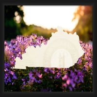 Képek, Kentucky gróf virág