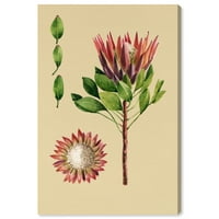 Wynwood Studio Canvas virág és virágos és botanikus virágos fali művészet vászon nyomtatás piros fényvörös 20x30