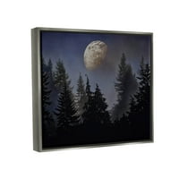 Stupell Industries Night Sky Moon fák felett Fénykép, szürke úszó keretes vászon nyomtatott fali művészet, Mindy Sommers