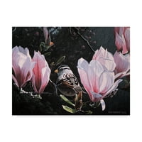 Védjegy Szépművészet „Veréb a Magnolia” vászon művészete, Ron Parker