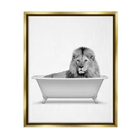 Stupell Industries oroszlán a fürdőszoba kádban vadon élő állatok és rovarok festés arany úszó keretes művészeti nyomtatási