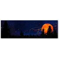 Védjegy Szépművészeti Roderick Stevens 'Washington Moonrise'