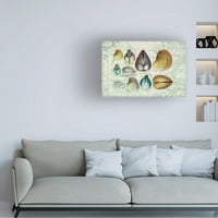 Cora Niele 'Seashells a térképen I' Canvas Art