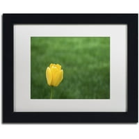Védjegy Szépművészet A magányos sárga tulipán 2 vászon művészete: Kurt Shaffer, White Matte, Fekete Frame