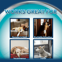 Egyszerű megoldás eldobható női kutya pelenkák, XL, Gróf
